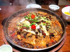 -老板恋上鱼(荣盛广场店)