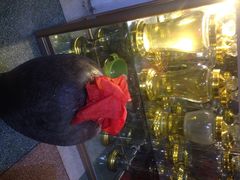 -郑厨私房菜
