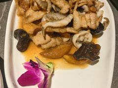 胶东炒八带-前海沿·青岛菜(大拇指广场石老人店)