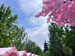 -龙华寺