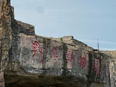 -合肥野生动物园