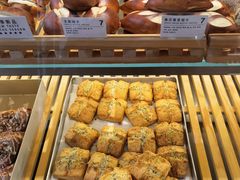 -WHEN PIGS FLY当猪飞