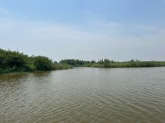-宁波杭州湾国家湿地公园