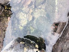 -龙头岩(Dragon Head Rock)