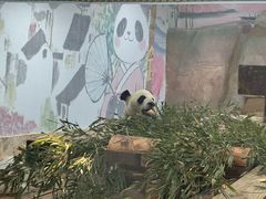 -无锡动物园·太湖欢乐园
