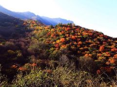 -秦岭风景区
