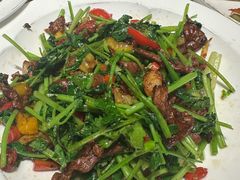 -广东道至正餐厅(区庄店)