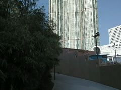 -九龙公园