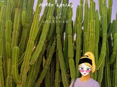 -松山湖梦幻百花洲