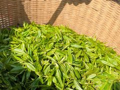 -龙坞茶村