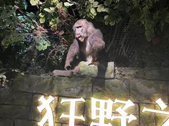-浙江自然博物院(杭州馆)