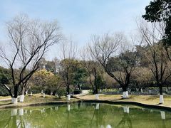 -南京古林公园