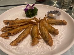 -金米箩大酒店(五角场店)