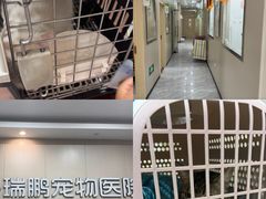 -瑞鹏宠物医院·普外科·影像科·皮肤科(城市山谷分院)