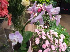 -Olé精品超市(上海虹桥南丰城店)