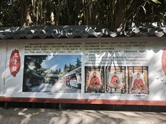 -青岛崂山太清宫