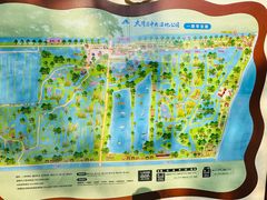-大湾区中央湿地公园