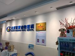 -北京观赏动物医院·24小时大型综合·猫专科·异宠专科