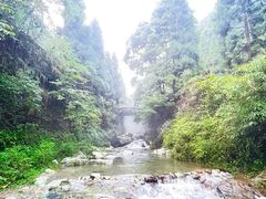 -虹口漂流