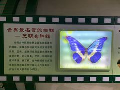 -上海昆虫博物馆