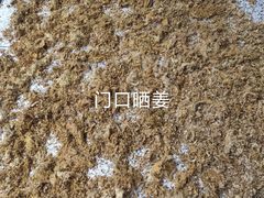 -沙湾姜埋奶(兴新包店)