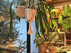 -自由生长植物工作室(深港花卉中心店)