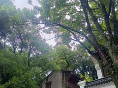 -江心屿景区
