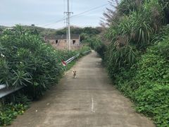 -东极岛景区