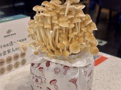-烹然四季椰子鸡火锅(团结湖总店)