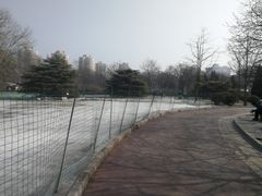-方庄体育公园