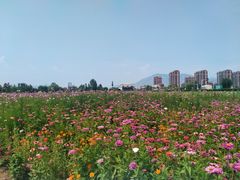 -桑干河大峡谷旅游区