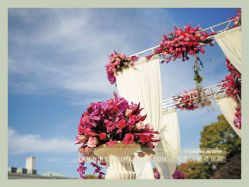 -上海万豪虹桥大酒店·宴会厅