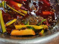 邮亭鲫鱼-曾老幺鱼庄(龙华商厦店)
