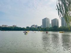 -皇家御河游(紫御湾码头)