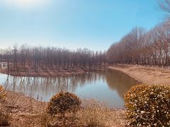 -东郊湿地公园