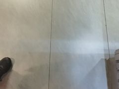 -明本湛江鸡•海鲜小厨(陈家祠店)