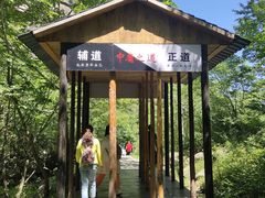 -青峰峡国家森林公园