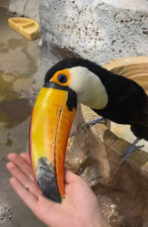 -Zoolung Zoolung动物主题公园(海信广场店)