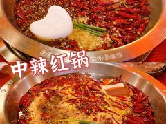 经典谭鸭血红锅-谭鸭血老火锅(日本东京店)