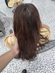 -天使之手plus