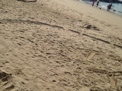 iphone_upload_pic-白城沙滩