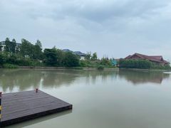 -广富林郊野公园