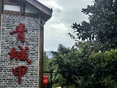 -青城甲(青城山店)