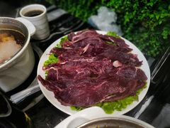 -金富苑肥牛火锅(城中总寨店)