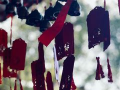 -亭林园-华藏寺