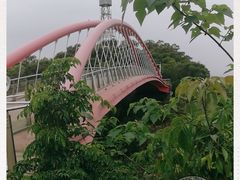 -金鸡山公园