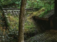 -青城山