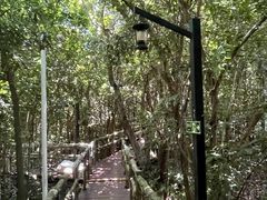 -三亚亚龙湾人间天堂鸟巢度假村