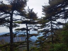 -黄山风景区