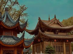 -上海东林寺(金山区)